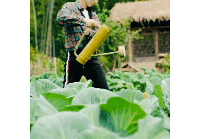 1693770005415434.gif
