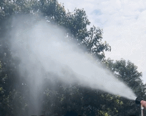 1693770006817174.gif