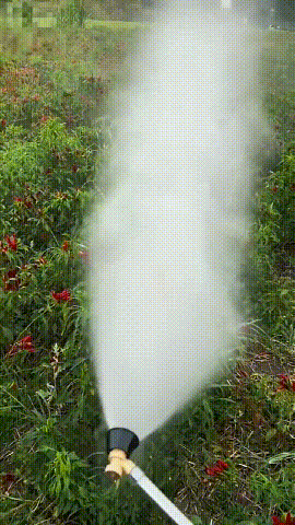 1693770020940291.gif
